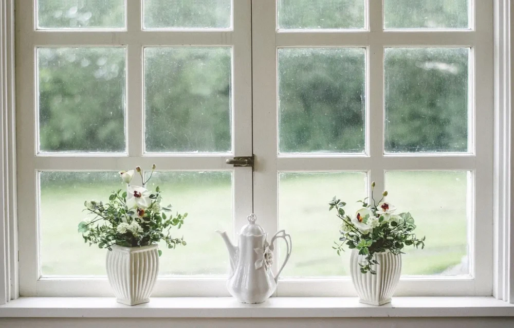 White multi-pane window overlooking a green yard