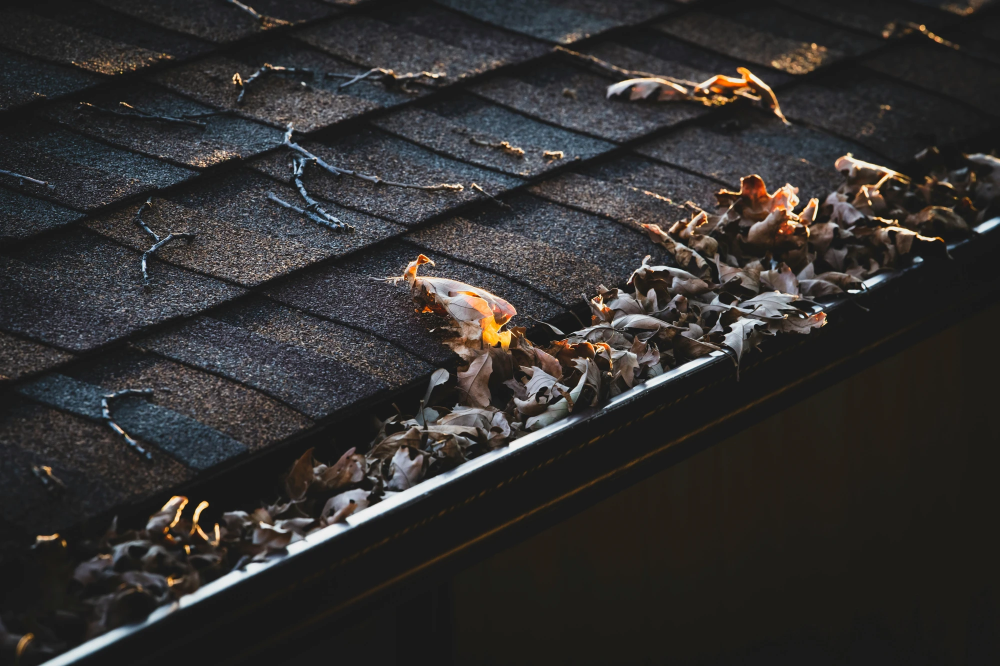 Dry leaves and debris clogging a residential rain gutter